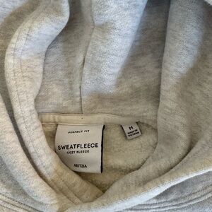 Aritzia Sweatfleece Perfect Hoodie